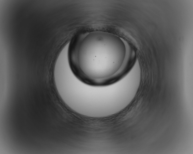 X0000093120593200710031335