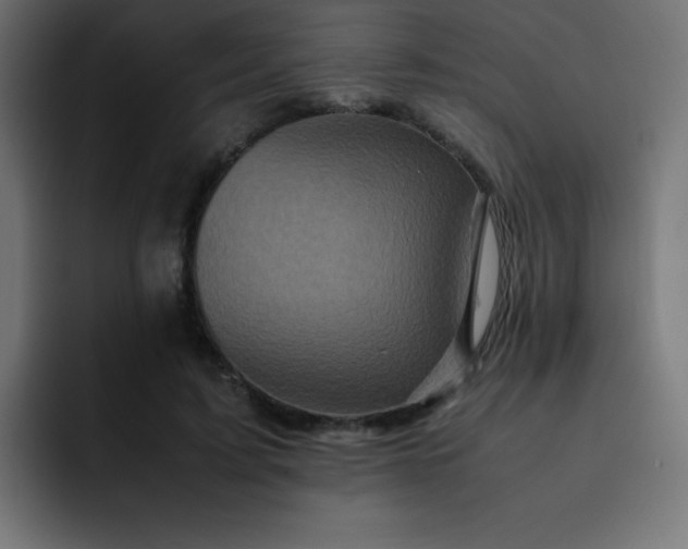 X0000093120595200710031335