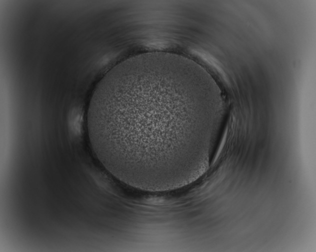 X0000093120596200710031335