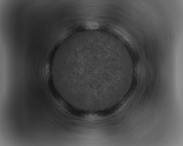 X0000093120598200710031335
