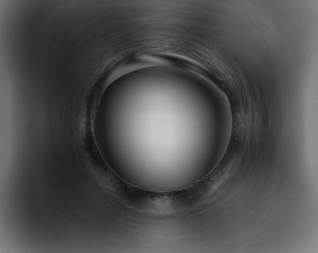 X0000093120600200710031335