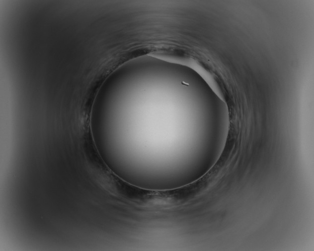 X0000093120601200710031335