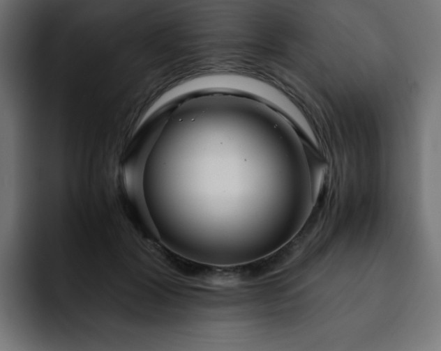 X0000093120604200710031335