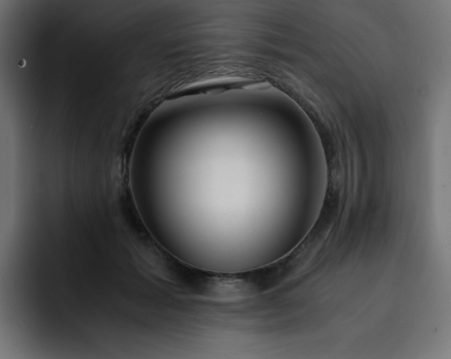 X0000093120605200710031335