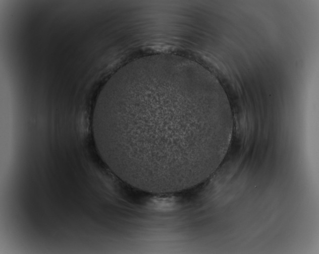 X0000093120606200710031335