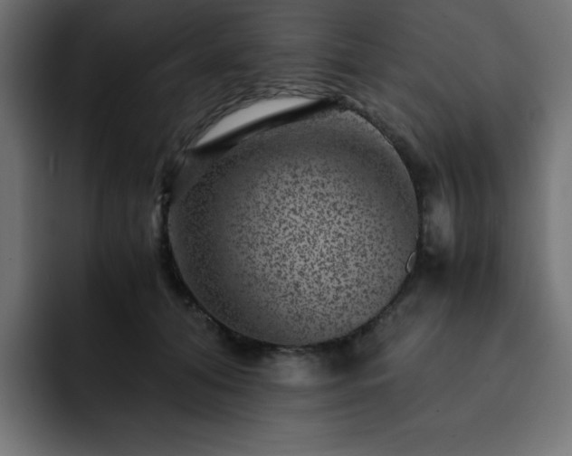 X0000093120608200710031335