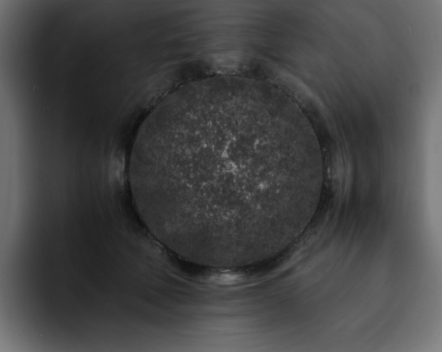 X0000093120610200710031335