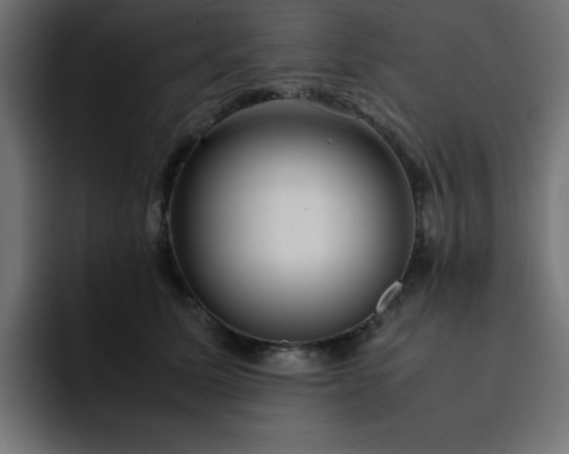 X0000093120611200710031335