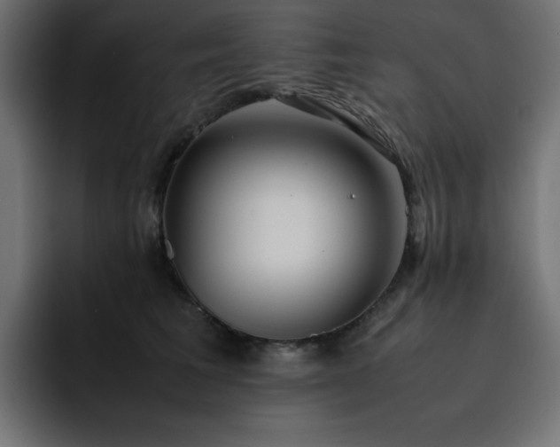 X0000093120613200710031335
