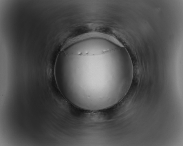 X0000093120615200710031335