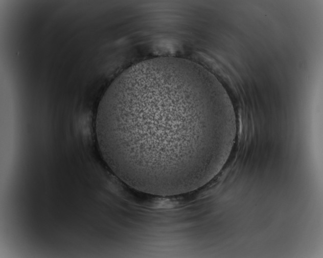 X0000093120616200710031335