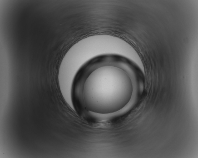 X0000093120617200710031335