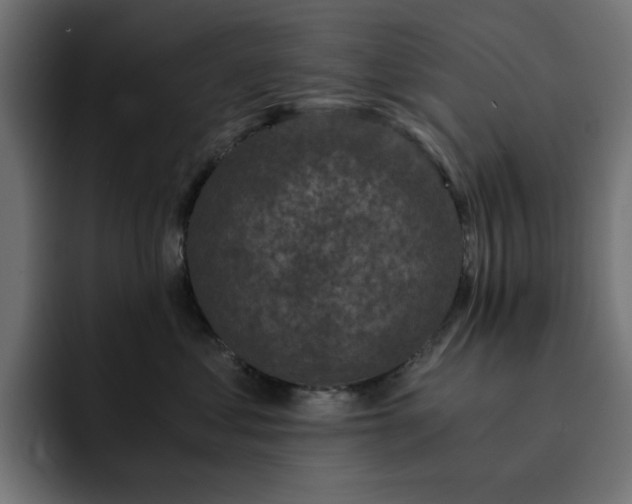 X0000093120621200710031335