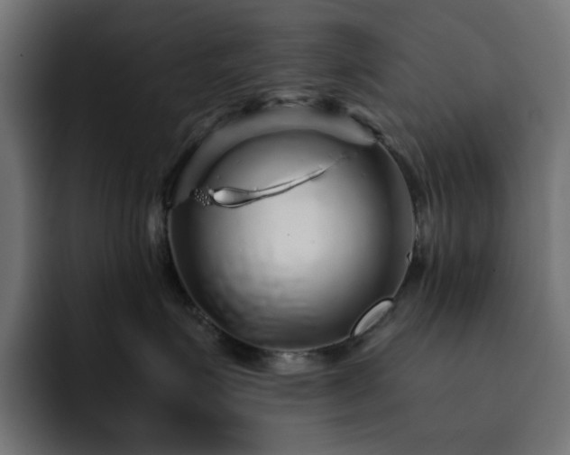 X0000093120623200710031335