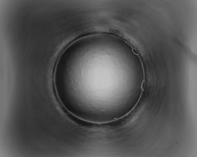X0000093120625200710031334