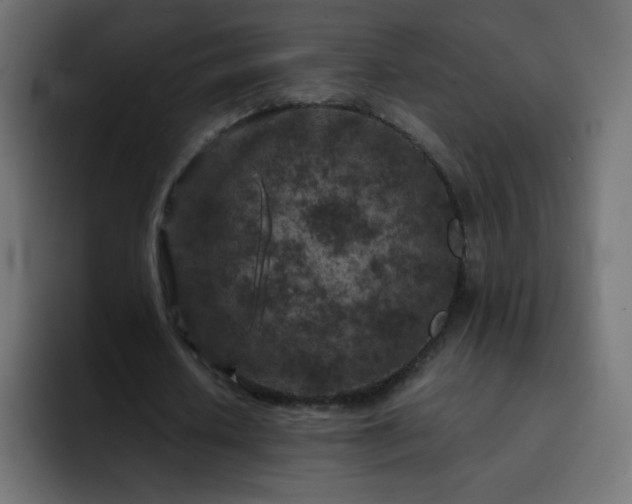 X0000093120626200710031334