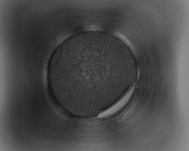 X0000093120627200710031334