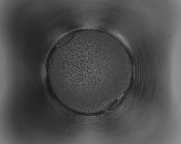 X0000093120628200710031334