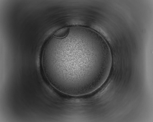 X0000093120629200710031334