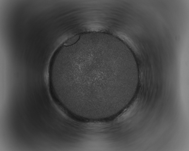 X0000093120630200710031334