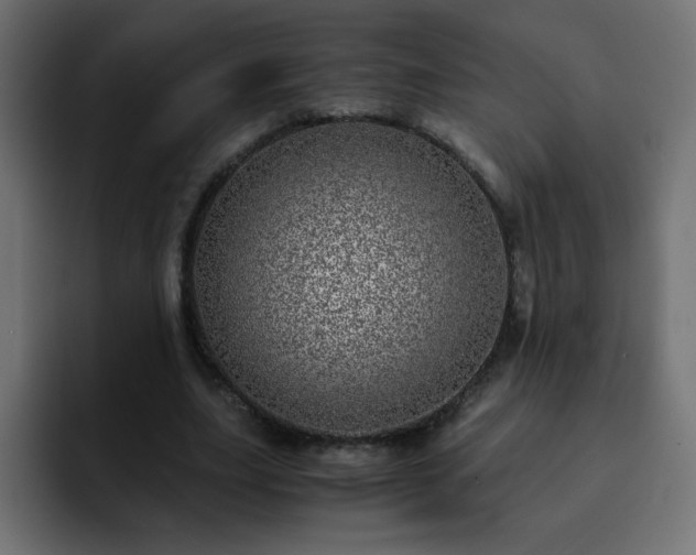 X0000093120631200710031334