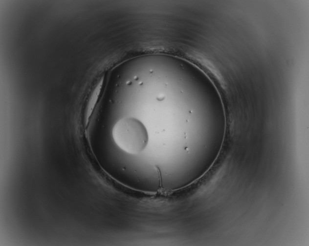 X0000093120633200710031334