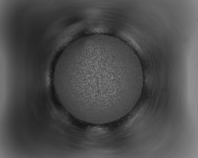X0000093120635200710031334