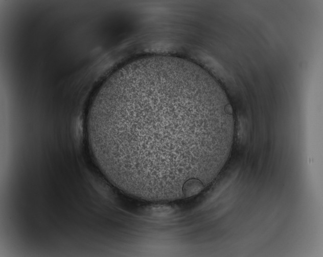 X0000093120636200710031334