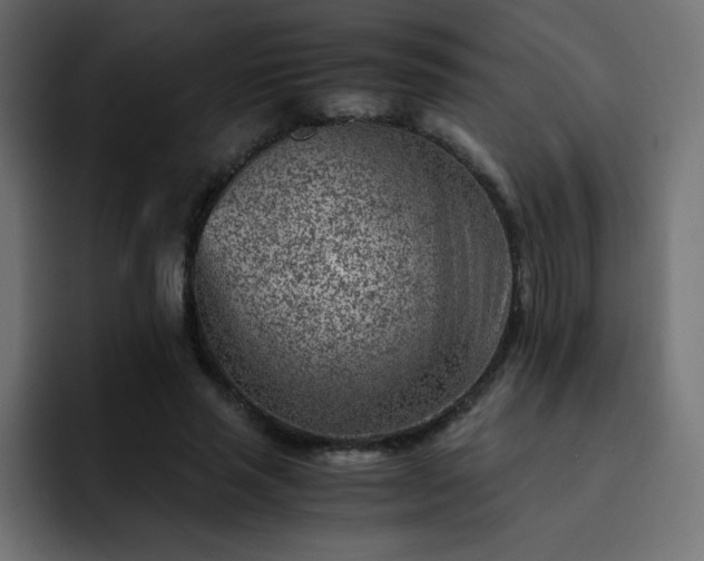 X0000093120637200710031334