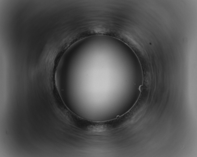 X0000093120639200710031334