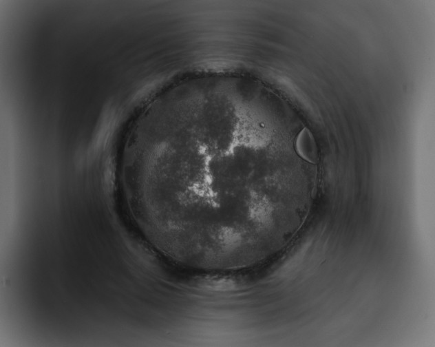 X0000093120640200710031334