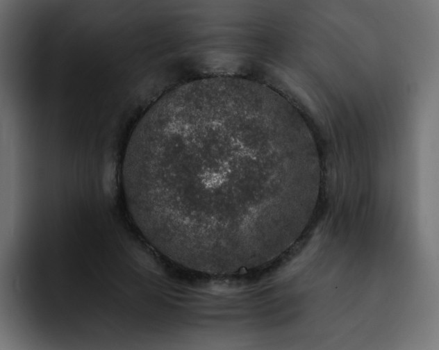 X0000093120641200710031334