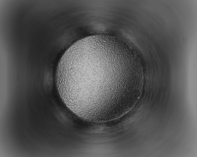 X0000093120642200710031334