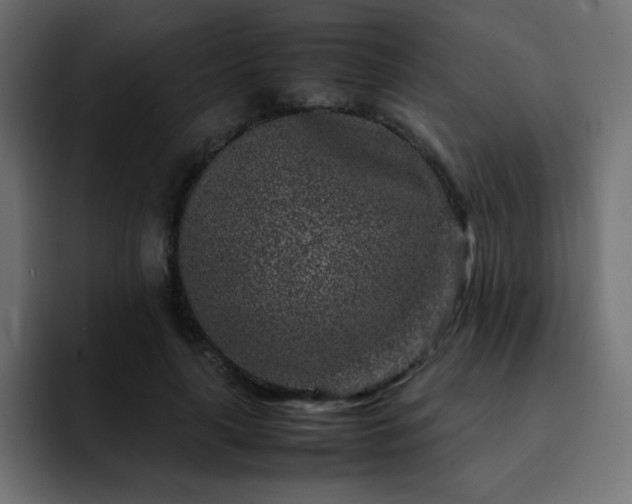 X0000093120643200710031334