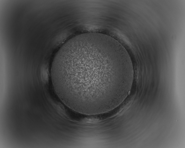 X0000093120644200710031334
