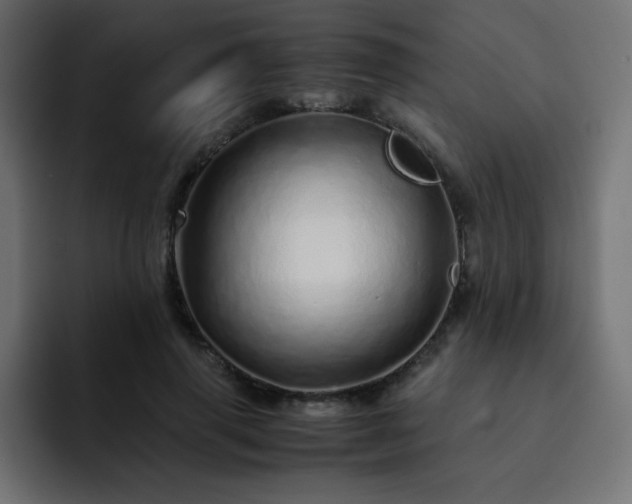 X0000093120645200710031335