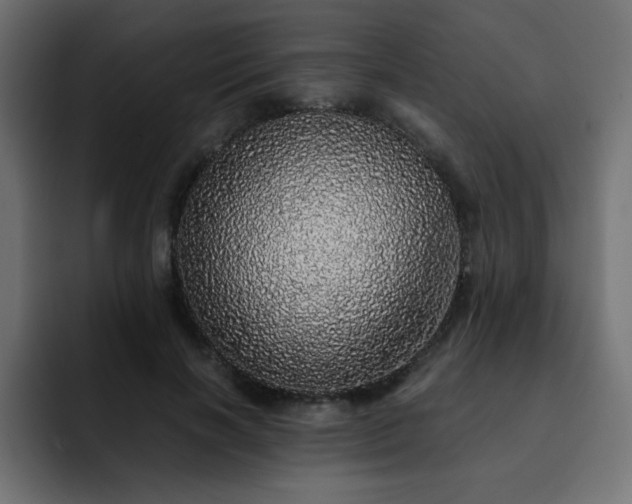 X0000093120646200710031335