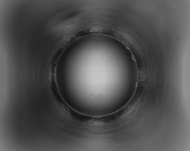 X0000093120648200710031335