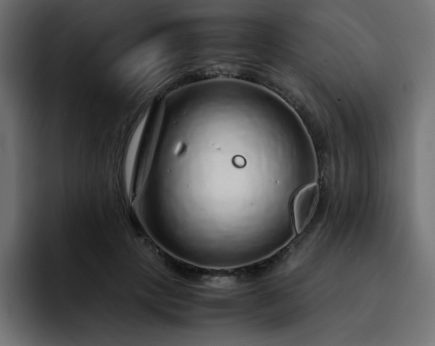 X0000093120649200710031335