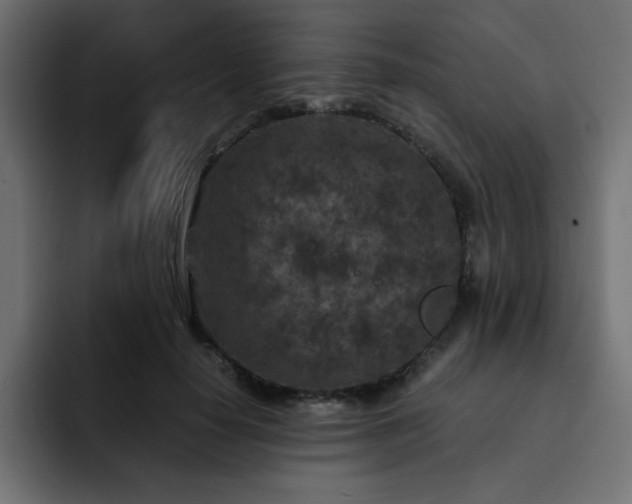 X0000093120650200710031335
