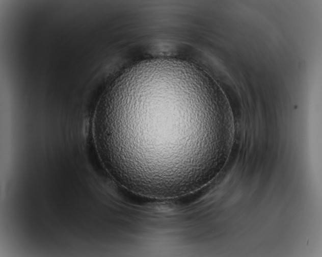 X0000093120652200710031335