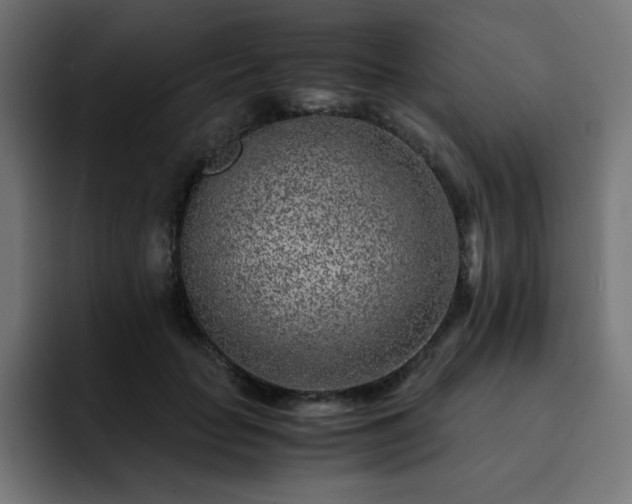 X0000093120653200710031335