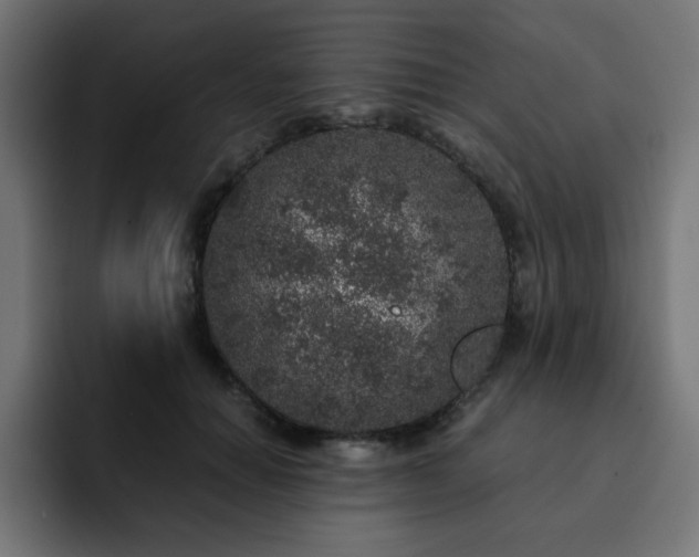 X0000093120654200710031335