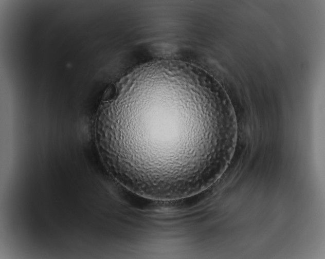 X0000093120658200710031335