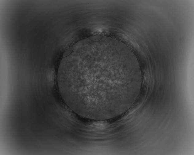 X0000093120659200710031335
