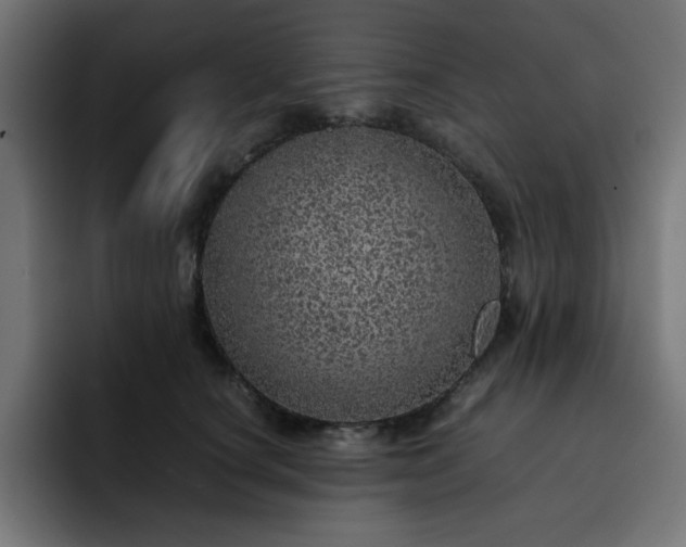 X0000093120660200710031335