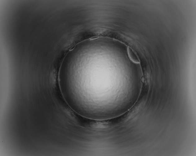 X0000093120664200710031335