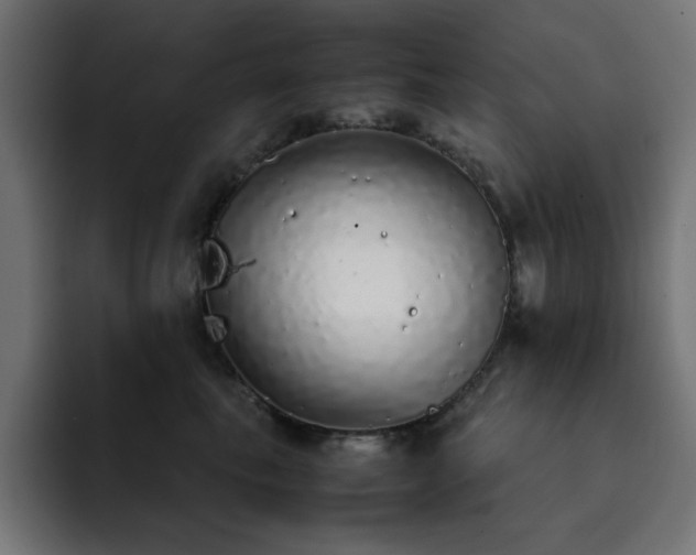 X0000093120665200710031335