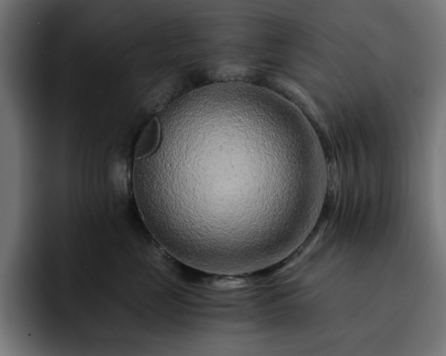 X0000093120669200710031335