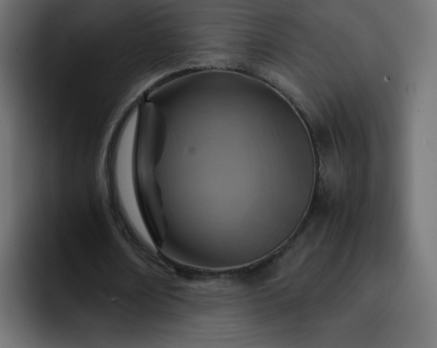 X0000093120674200710031334